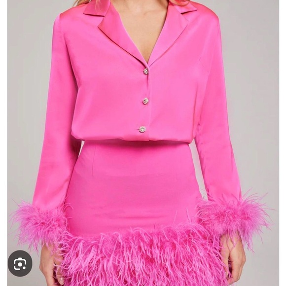 NADINE MERABI Other - NADINE MERABI Vibrant Hot Pink Blouse Feathered Ensemble